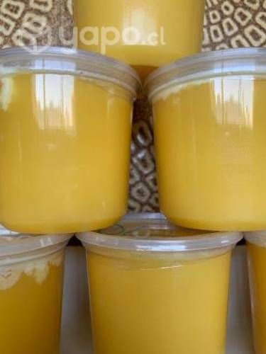 Miel de Diente de León 1 kg