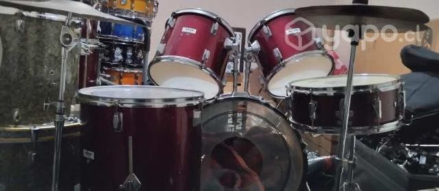 Batería musical adam con parches aceitados