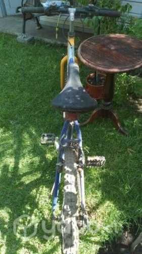 Bicicleta Bianchi aro 26