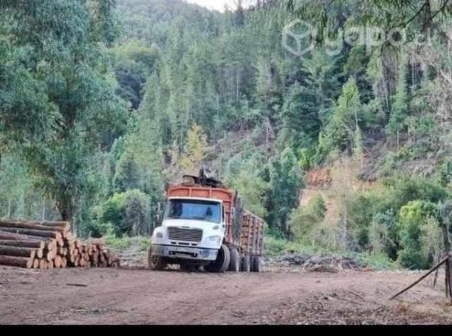 Vendo camión Freightliner con autocargante