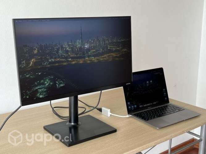 Monitor Samsung 24 pivoteable | Panel IPS | 75Hz