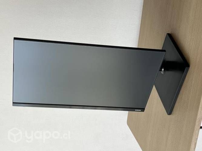 Monitor Samsung 24 pivoteable | Panel IPS | 75Hz