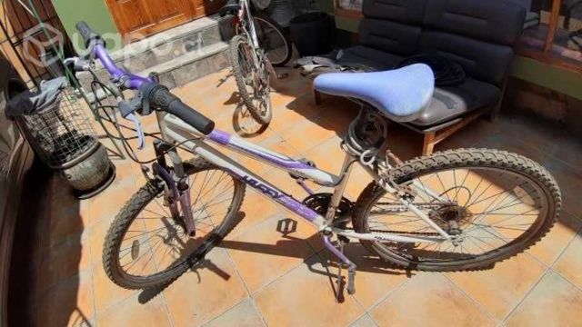 Bicicleta mujer aro 26