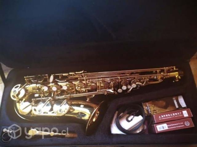 Saxofón Alto Lubeck (LSXA1)