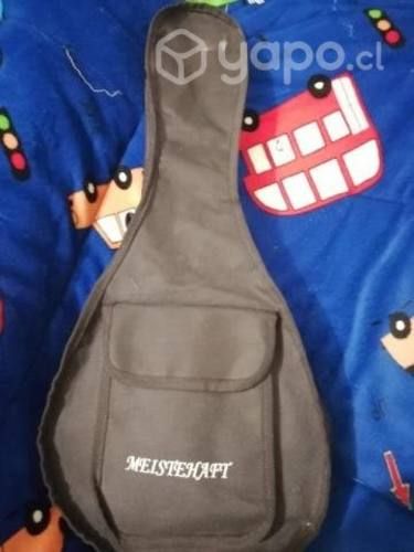 Banjo electroacustico