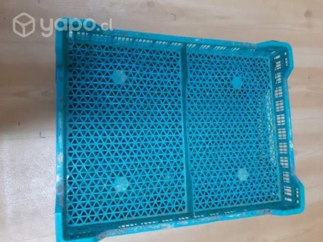 Bandejas frambueseras (usadas)