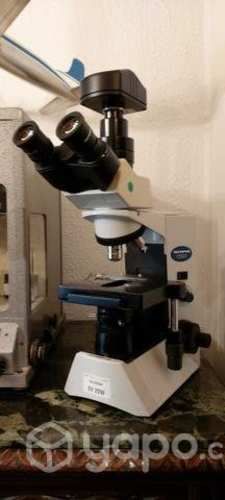 Microscopio olympus cx-31