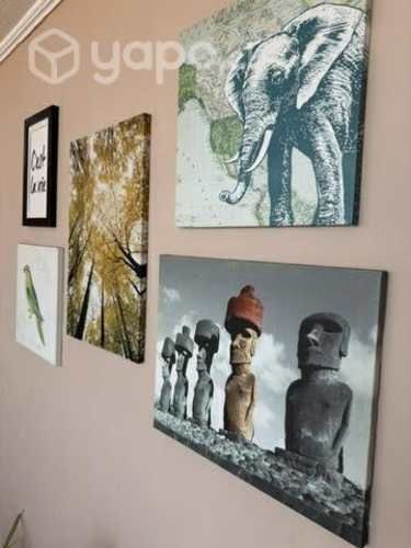 5 cuadros pack + 2 de regalo