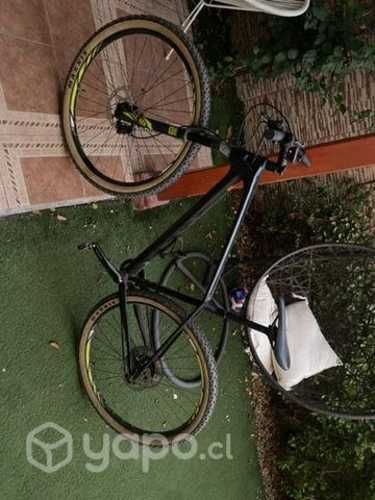 Bicicleta MTB Focus 1*12