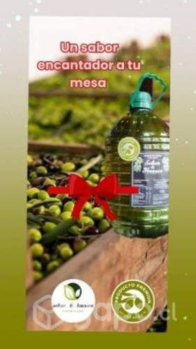 Aceite de oliva extra virgen x mayor