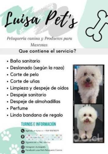 Peluquería canina
