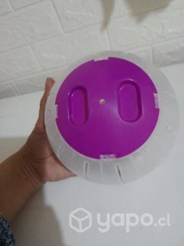Platillo y bola hamster