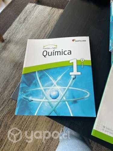 Libro Santillana Puentes del Saber 1ro M