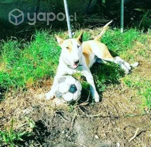 Busco novio me llamo aika