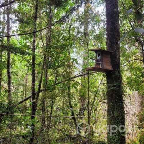 Parcela 5000mts2 en La quemada