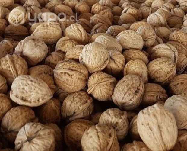 Nueces con cascara de llay llay