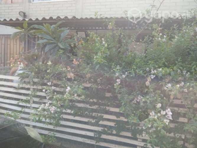 Venta en San Bernardo