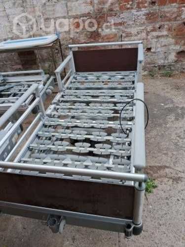 Cama clínica 3 posiciones