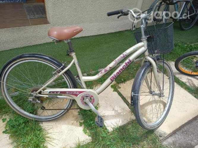 Bicicleta canasto aro 26