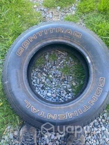 Neumáticos Continental