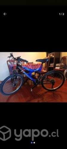 Bicicleta shark aro 24