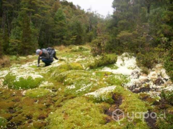 Terreno ideal para proyecto turístico