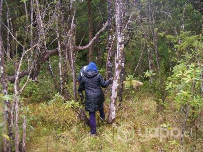 Terreno ideal para proyecto turístico