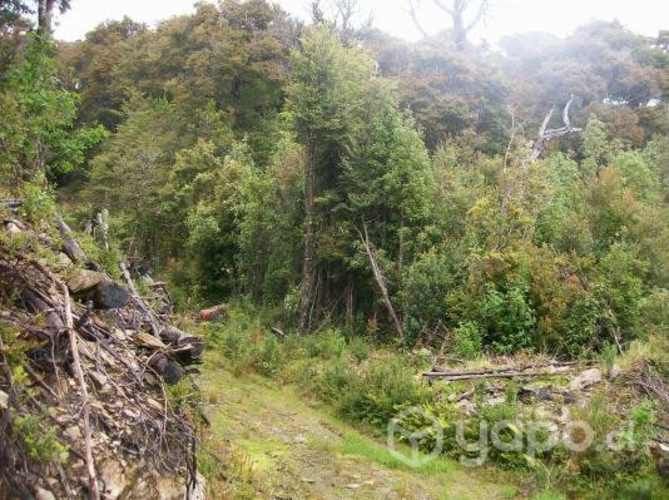 Terreno ideal para proyecto turístico