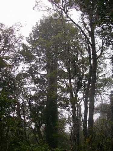 Terreno ideal para proyecto turístico