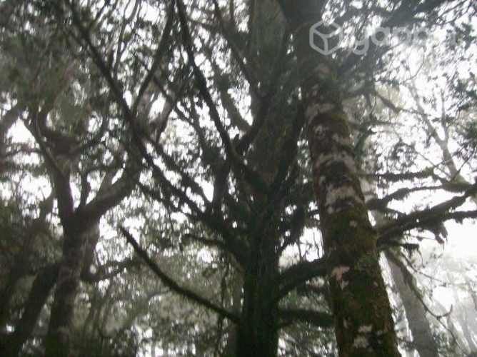 Terreno ideal para proyecto turístico