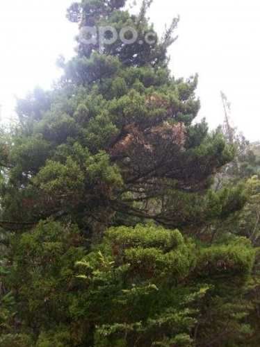 Terreno ideal para proyecto turístico