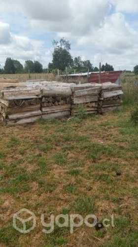 Leña de metro, eucalipto seca