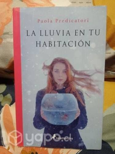 LA LLUVIA EN TU HABITACION - Paola Predicatori