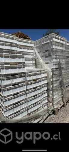 Cajas cosecheras 3/4 usadas (selladas)