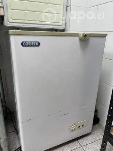Congelador 100 Litros Tapa Dura/rigida Cooler