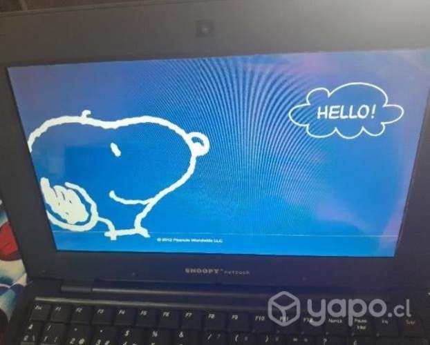 Netbook de snoopy