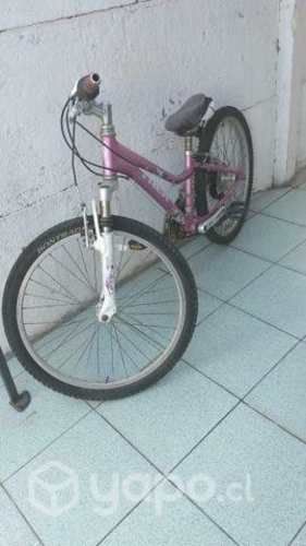 Bicicleta de dama