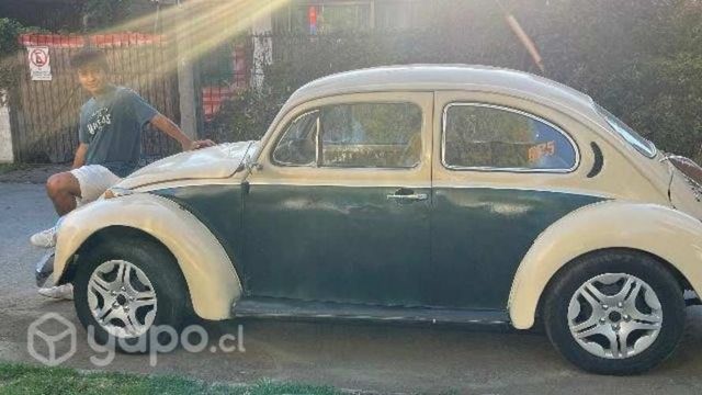 Vw escarabajo