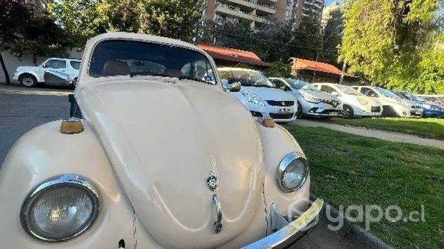Vw escarabajo