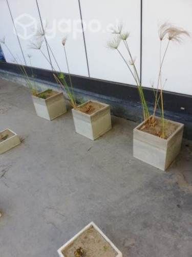 Macetas para plantas