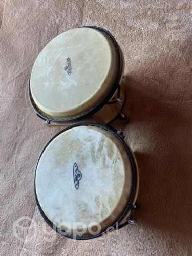 Bongos Tradicionales LP CP