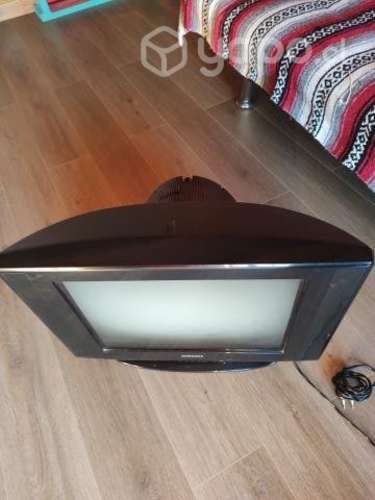 Televisor 21