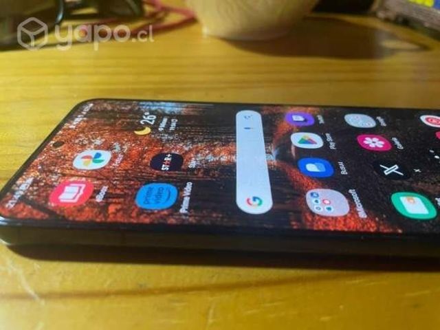 BUSCO iphone 11 pro o superior
