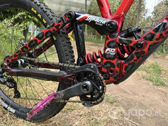 Bicicleta specialized demo race dh