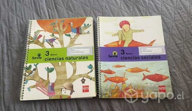 Libros textos 3ero básico savia SM