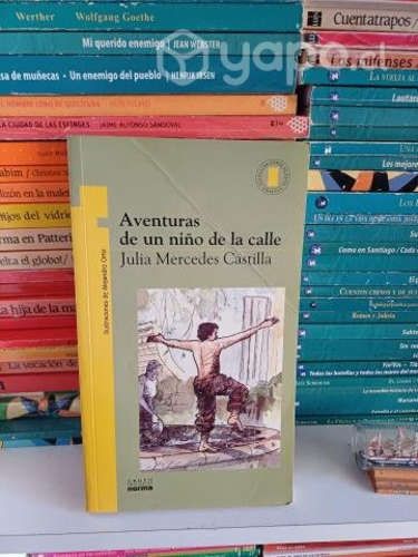 Aventuras de un Niño de la Calle