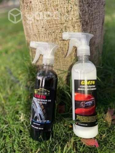 Embellecedor de Neumatico