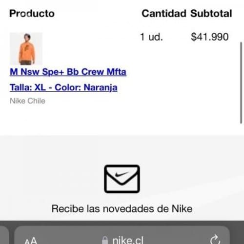 Poleron Nike Original