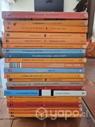 Venta lote de libros escolares