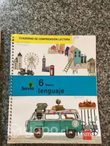 Set libros de Lenguaje 6 Básico